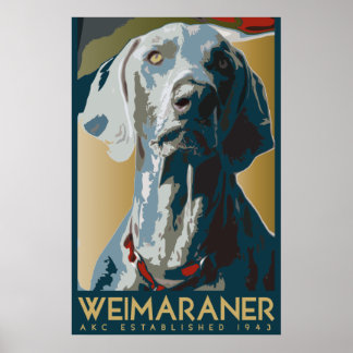 Poster Nação Weimaraner : AKC Weimaraner