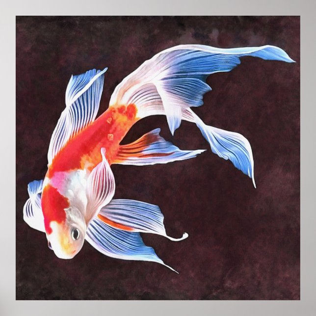 Poster Nadação de arte realista de peixe Goldfish (Frente)