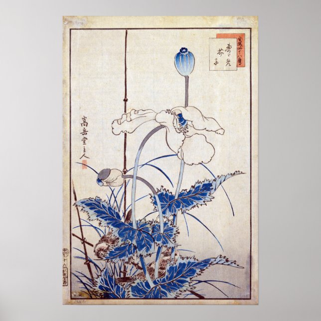 Poster Nakayama Sugakudo Bird sobre Poppies (Frente)