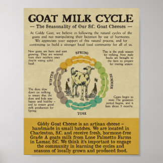 Poster Name Your Print