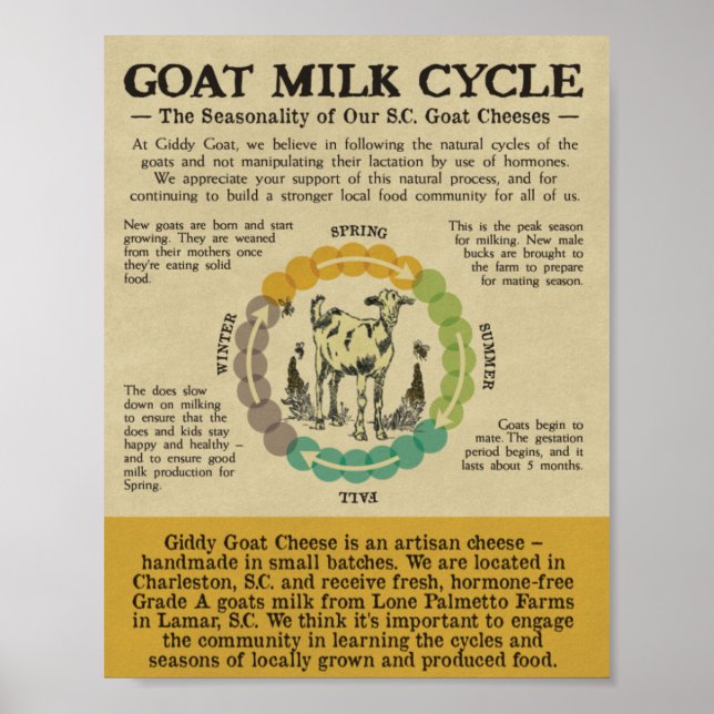 Poster Name Your Print (Frente)