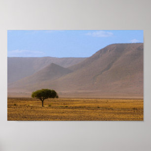 Poster Namíbia África Paisagem do Deserto