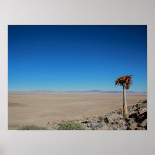 Poster Namíbia Tirool Namib Paisagem do Deserto Kokerboom
