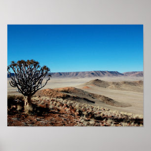 Poster Namíbia Tirool Namib Paisagem do Deserto Kokerboom