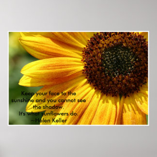 Pôster Nancys_girassol