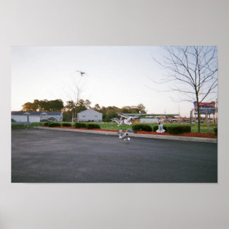 Pôster Não alimente as gaivotas