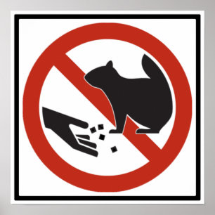 Pôster Não Alimente o Sinal de Estrada dos Esquilos