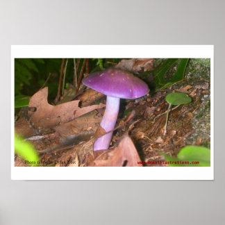 Pôster Não Coma o Cogumelo