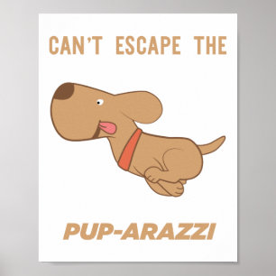 Poster Não consigo escapar do pup-arazzi