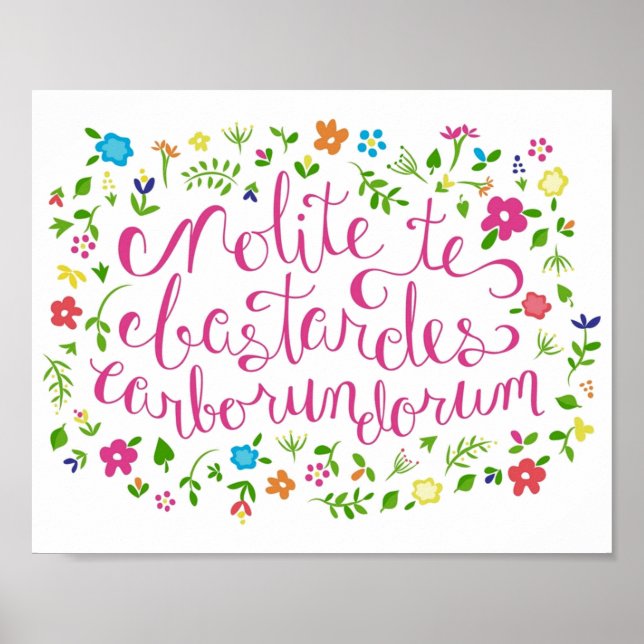 Poster Não deixe os bastardos te moverem pelo arco-íris (Frente)