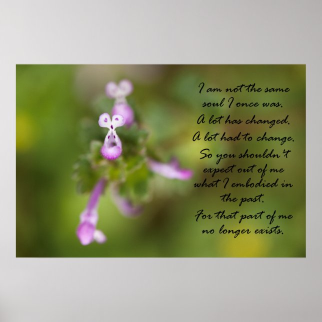 Poster Não é a mesma alma (Frente)