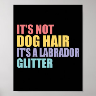Poster Não É Cabelo De Cachorro É Um Labrador