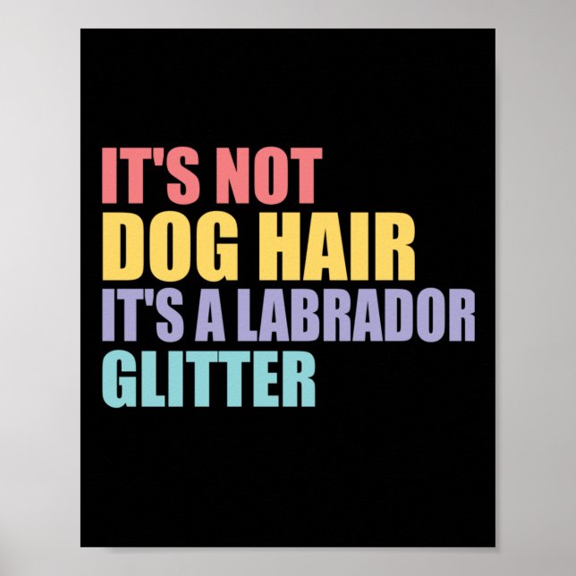 Poster Não É Cabelo De Cachorro É Um Labrador (Frente)