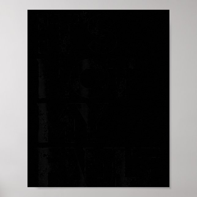 Poster Não é Minha Culpa (Frente)