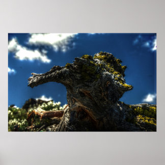 Poster Não é uma cabra