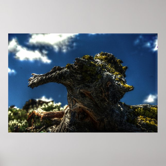 Poster Não é uma cabra (Frente)