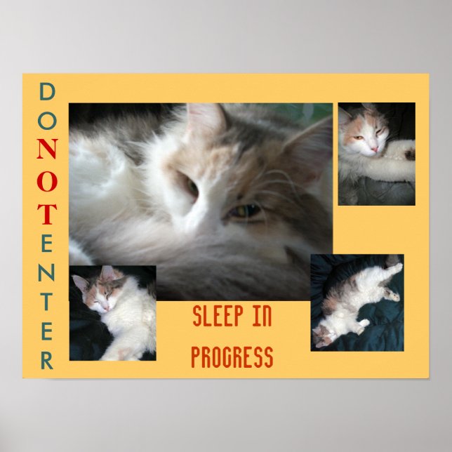 PÔSTER NÃO ENTRAR..... (Frente)