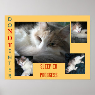 PÔSTER NÃO ENTRE .....