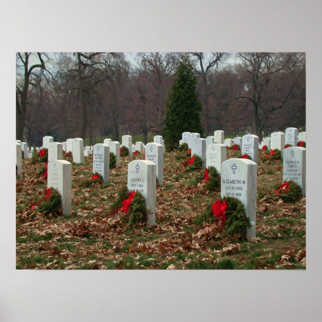 Pôster Não esquecido (Frente)