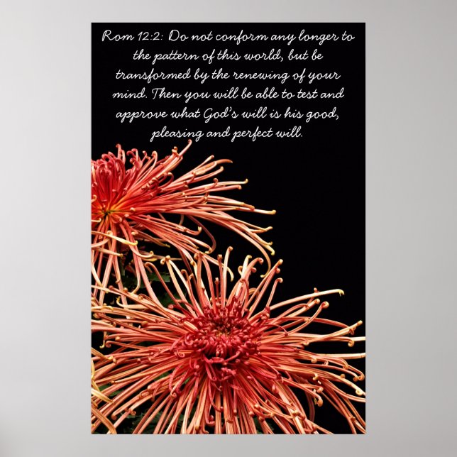 Pôster Não está mais em conformidade (Frente)