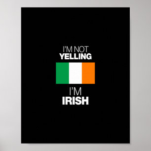 Poster não estou gritando, sou irlandês