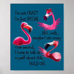 Poster Não Estou Louco Sou Apenas Especial Flamingo Diver