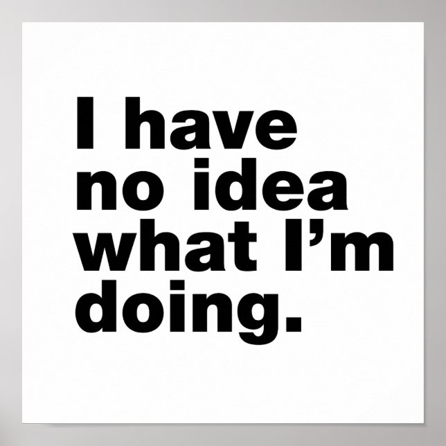 Poster Não faço ideia do que estou fazendo (Frente)