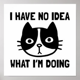 Poster Não faço ideia do que estou fazendo, gato
