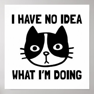 Poster Não faço ideia do que estou fazendo, gato