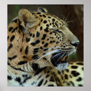 Poster Não feche os olhos em mim...