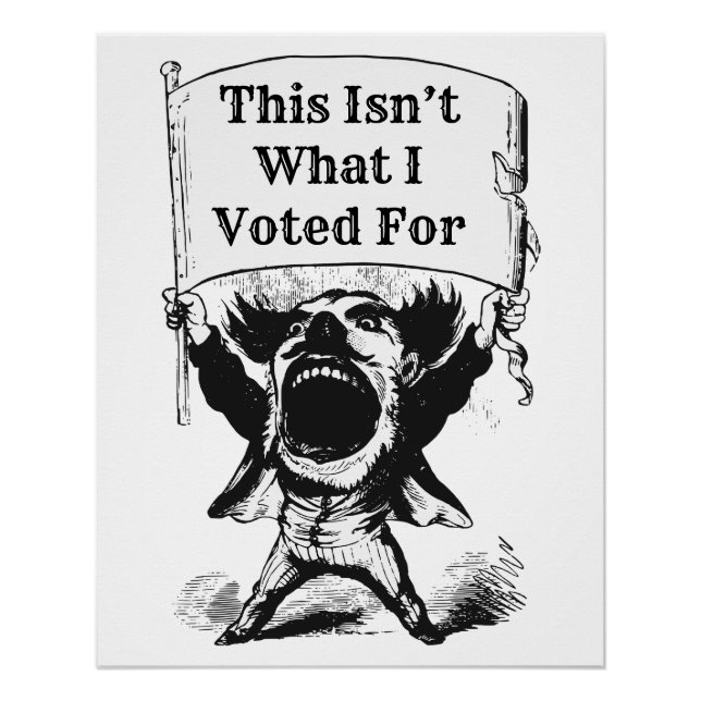 Pôster Não foi por isso que votei (Frente)