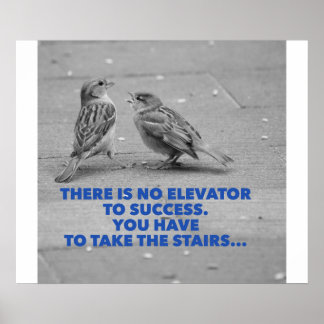 Pôster Não há elevador para o sucesso - motivação
