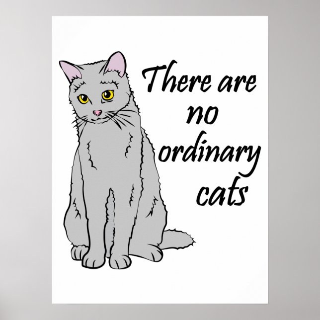 Poster Não Há Gatos Comuns (Frente)
