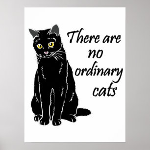 Poster Não Há Gatos Comuns