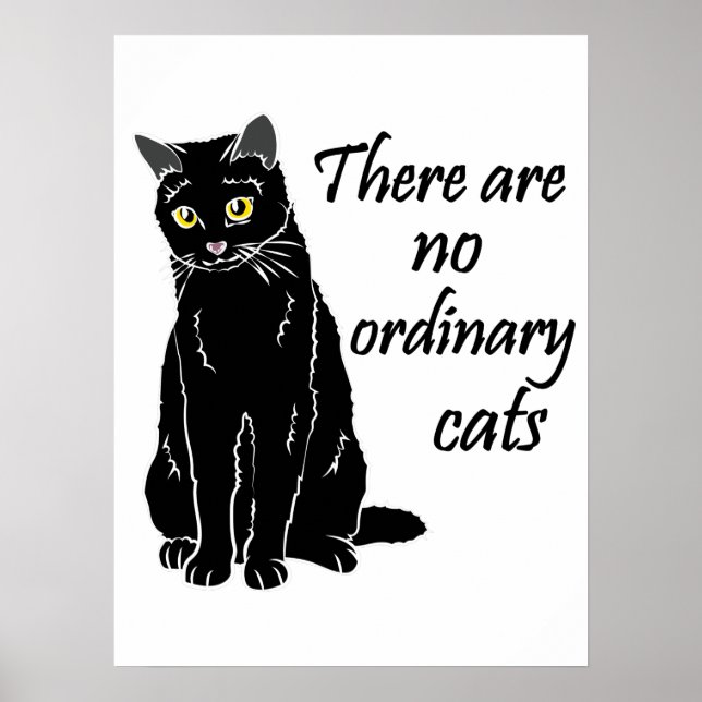 Poster Não Há Gatos Comuns (Frente)