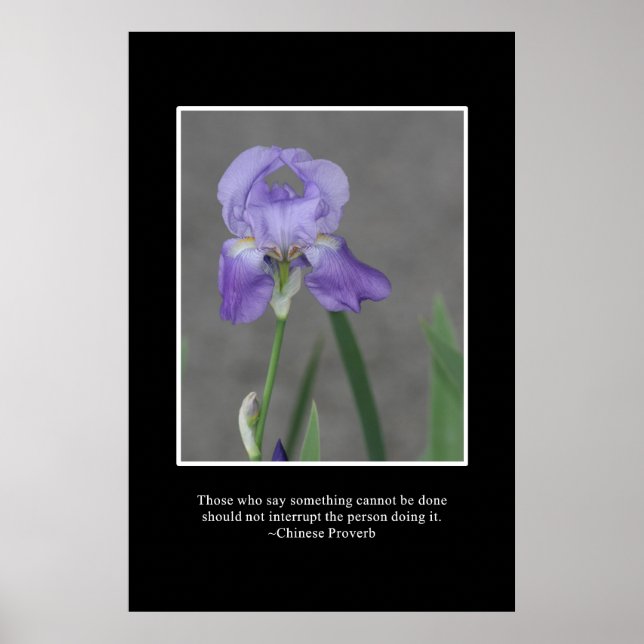 Pôster Não impeça as conquistas dos outros (Frente)