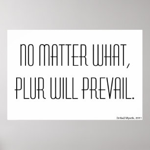 Pôster Não importa o que