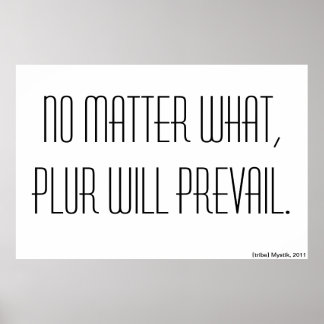 Pôster Não importa o que