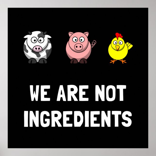 Pôster Não Ingredientes (Frente)