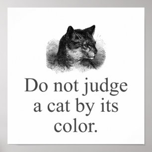 Poster Não julgue um gato