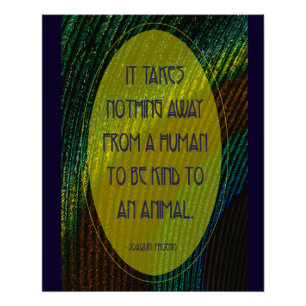 Pôster Não Leva Nada