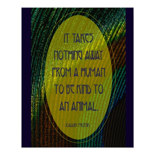 Pôster Não Leva Nada (Frente)