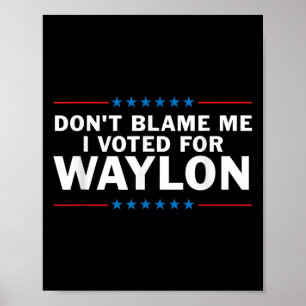 Poster Não Me Culpe Eu Votei Pelo Waylon