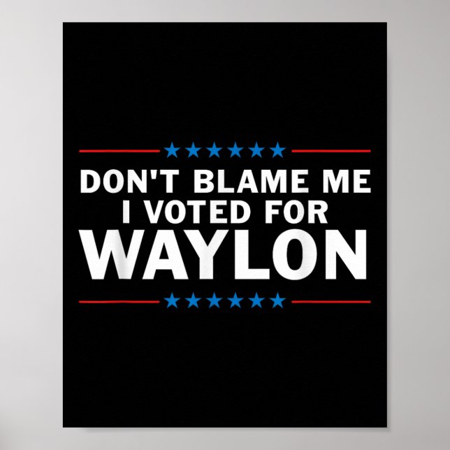 Poster Não Me Culpe Eu Votei Pelo Waylon (Frente)
