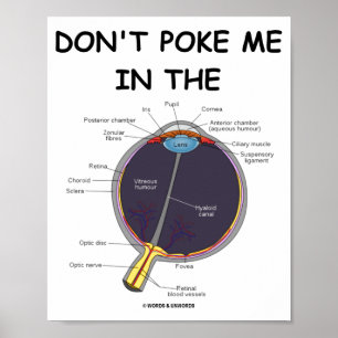Poster Não Me Mantenha No Olho Anatomia Do Olho Atitude