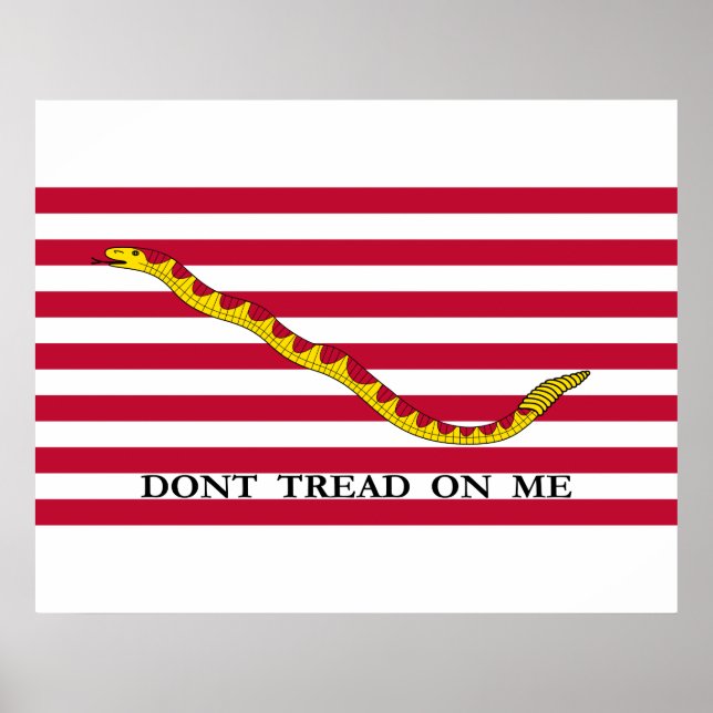 Poster Não me pise no Naval Jack dos EUA (Frente)