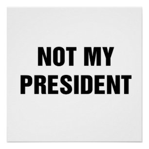 Pôster Não Meu Presidente