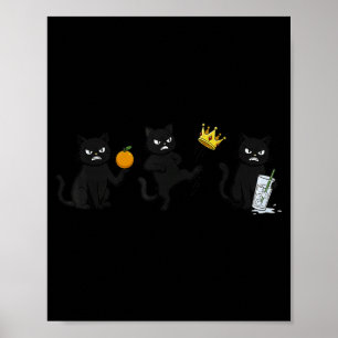 Poster Não Não Reis Não Gelo Gato Preto Engraçado