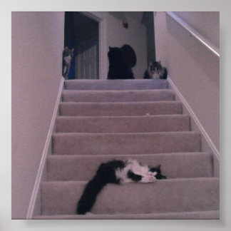 Pôster Não o empurramos!