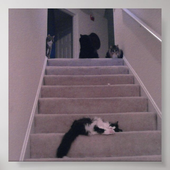 Pôster Não o empurramos! (Frente)